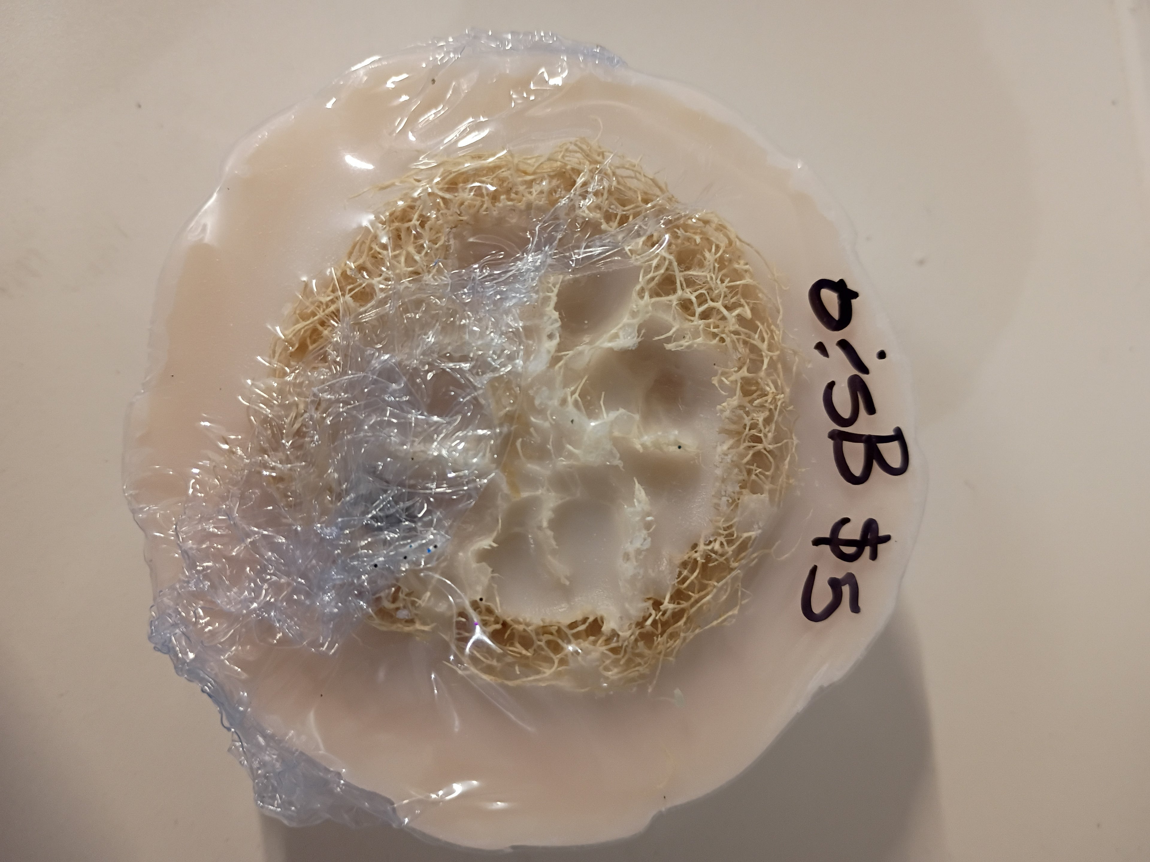 Oatmeal and Shea Butter Loofah Soap